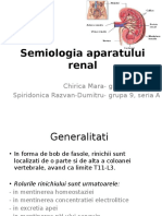 Semiologia aparatului renal.pptx