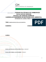  Informe de Prácticas de Laboratorio