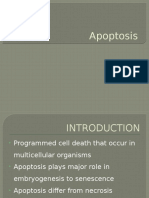 Apoptosis cell bio unit 4.pptx