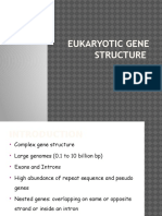 UNIT 6 Eukaryotic gene structure.pptx
