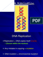 DNA Replication (2)