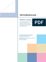 2014-04-18_08-23-49__Cervicobraquialgias.pdf