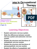 Autonomic Nervous System