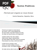 poesia floriram por engano soluções