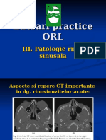 LP Rinologie III 1