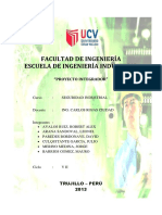 Seguridad Industrial PDF