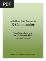 The RCMDR Guide