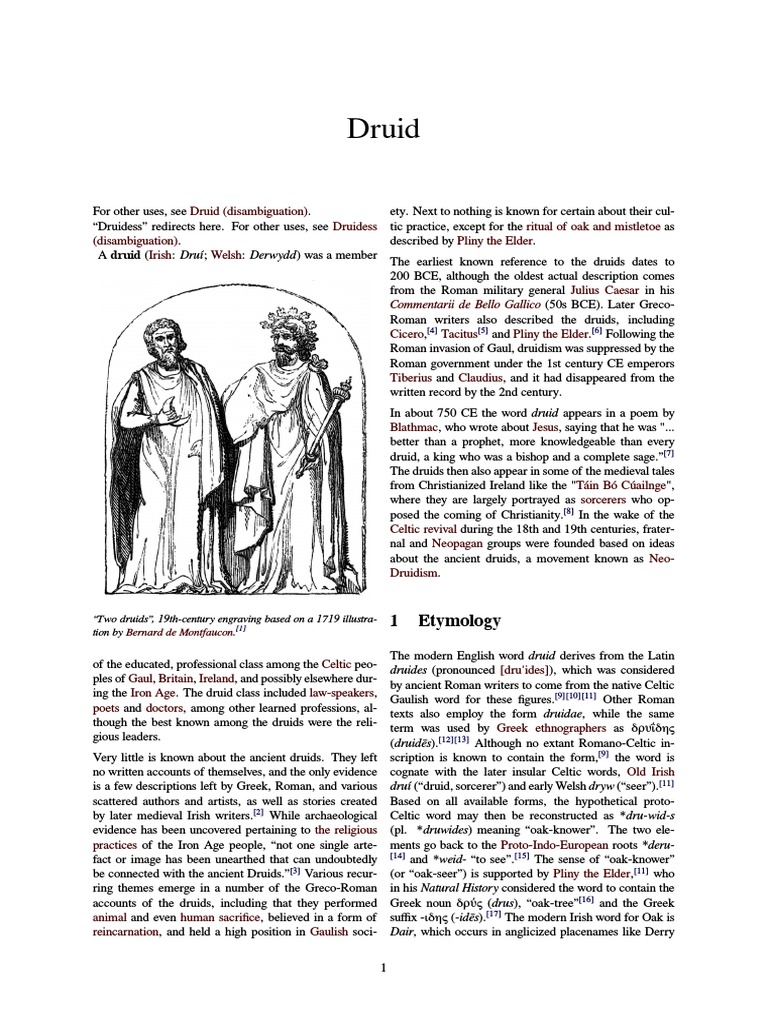 Druid Druid Religion And Belief