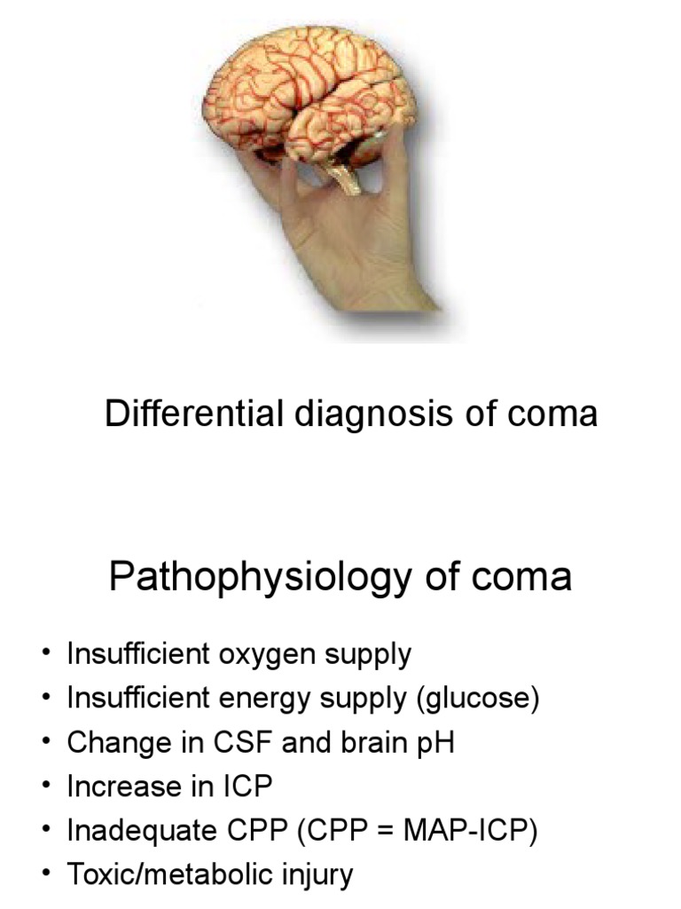 Coma: Diagnosis and Pathophysiology | PDF | Coma | Traumatic Brain Injury