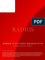 001 Businessplan-Rubberplantation Final PDF