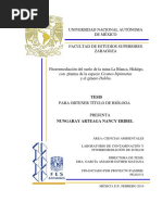 Fitocorrección de Suelos Contaminados | PDF | Ciencia y matemáticas