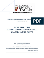 plan_maestro (2).pdf