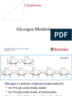 9-glycogen.ppt