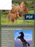 equinos 1.pptx