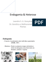 Endogamia vs Heterose: conceitos e implicações em melhoramento de plantas