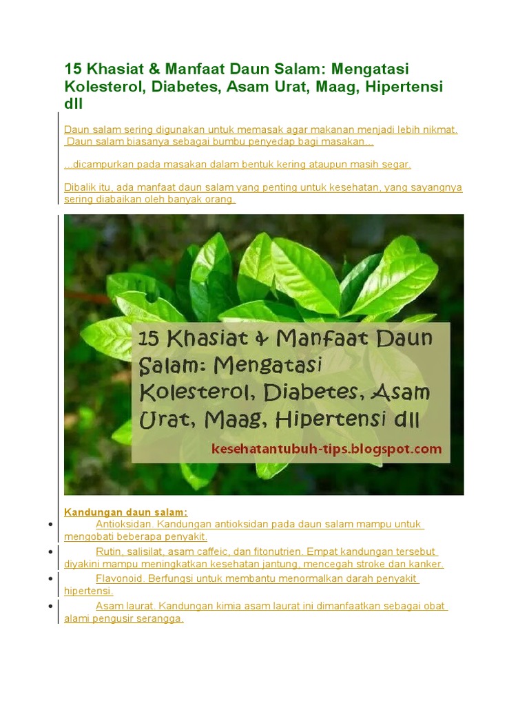 15 Khasiat Daun Salam