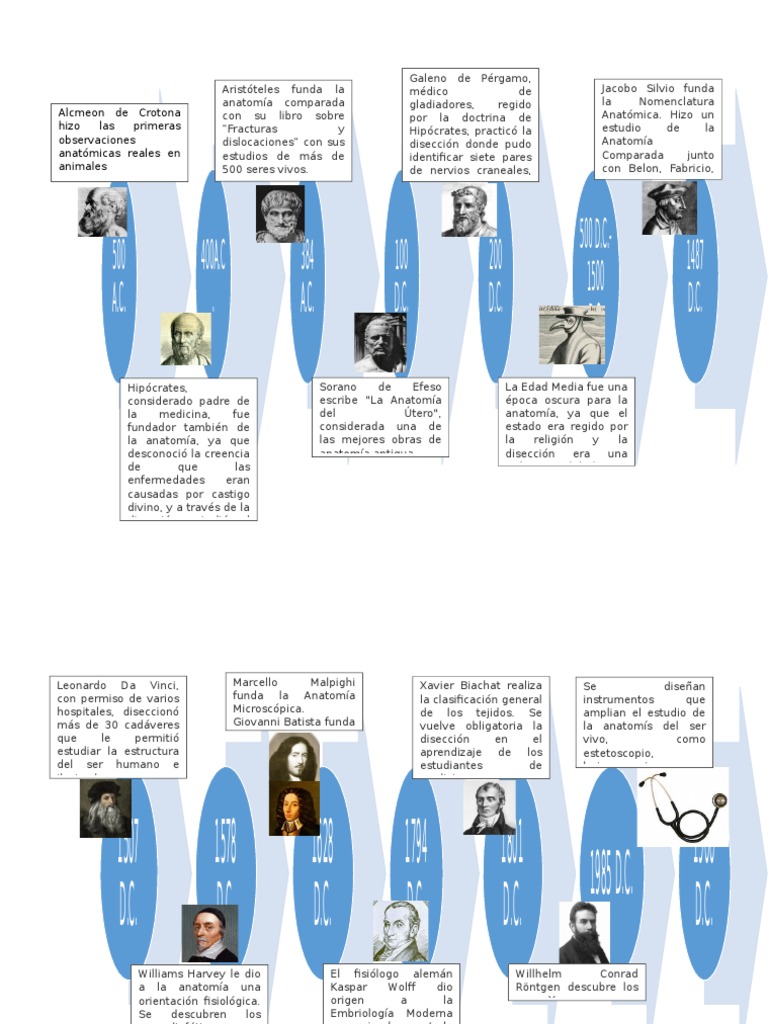 Historia de La Anatomía Línea Del Tiempo
