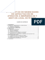 DiagNeceCapa PDF