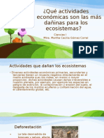 160853556 Que Actividades Economicas Son Las Mas Daninas