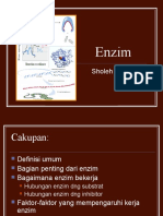 Enzim(ppt)