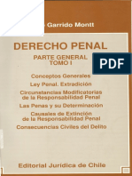  Derecho Penal Tomo i Garrido Montt Mario