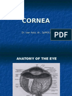 Corneal Ulcer DR - Iz