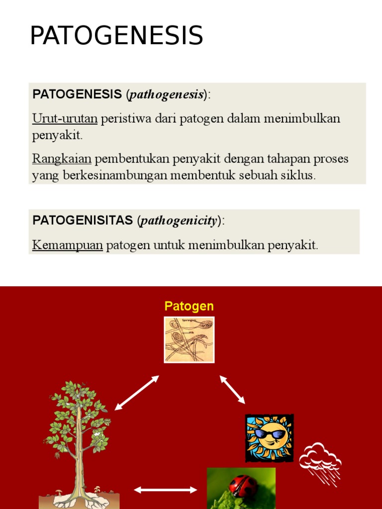 Tahapan Patogenesis Penyakit Tumbuhan | PDF