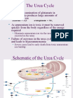 The Urea Cycle: Eliminate Ammonium Ion Via The Urea Cycle. Urea Is Excreted in The Urine