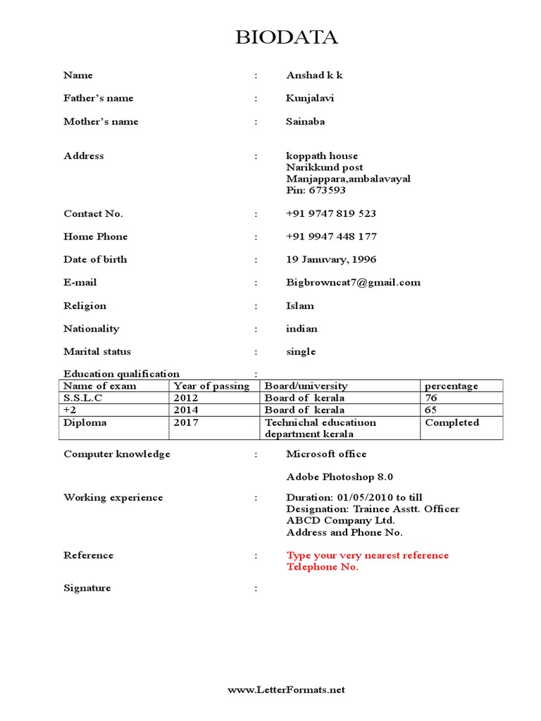 Simple Bio Data Format | PDF