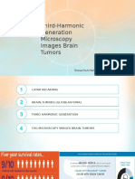 Third Harmonic Generation Microscopy Images Brain Tumors