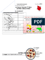 Guia Sistema-Circulatorio 5°