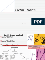 LP7 - Bacili Gram-pozitivi