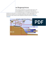 Tipos de Ciclos Biogeoquímicos