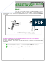 Coursreflexemyotatique