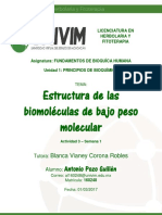 APozo - Estricturas de Las Biomoléculas de Bajo Peso Molecular PDF