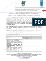 Fomato_Perfiles_Proyectos_270913.doc