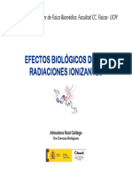 Efectos de Las RI_UCM_27 Nov 2014_A Real_pdf