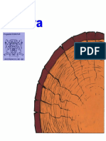 Material - Manual Tecnologia en Edificacion en Madera - U. Bio-Bio