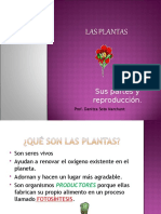 Las Plantas (1)