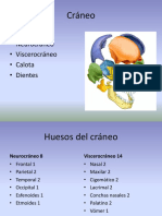 ANATOMIA Osteología Cráneo PDF