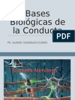 Bases Biologicas de La Conducta