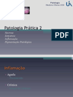Patologia Prática2