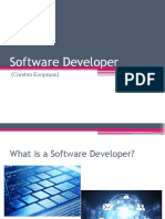 Software Developer