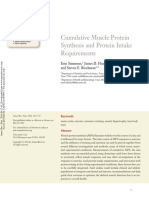 Cumulative Muscle Protein Synthesis and Protein Intake Requirements