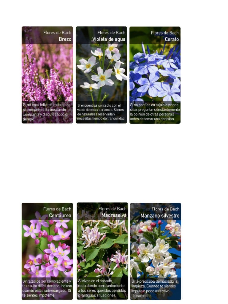 Cartas de Flores de Bach PDF