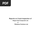 Reports On Crack Inspection of