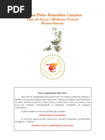 Ervas - Livro - A Cura Pelos Remédios Caseiros - Guia De Ervas E Medicina Natural - Raunei Iamoni-Verif