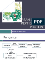 Asam Amino, Peptida Dan Protein