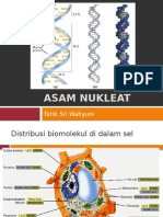 Asam Nukleat