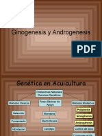 CLASE Ginogenesis y Androgenesis